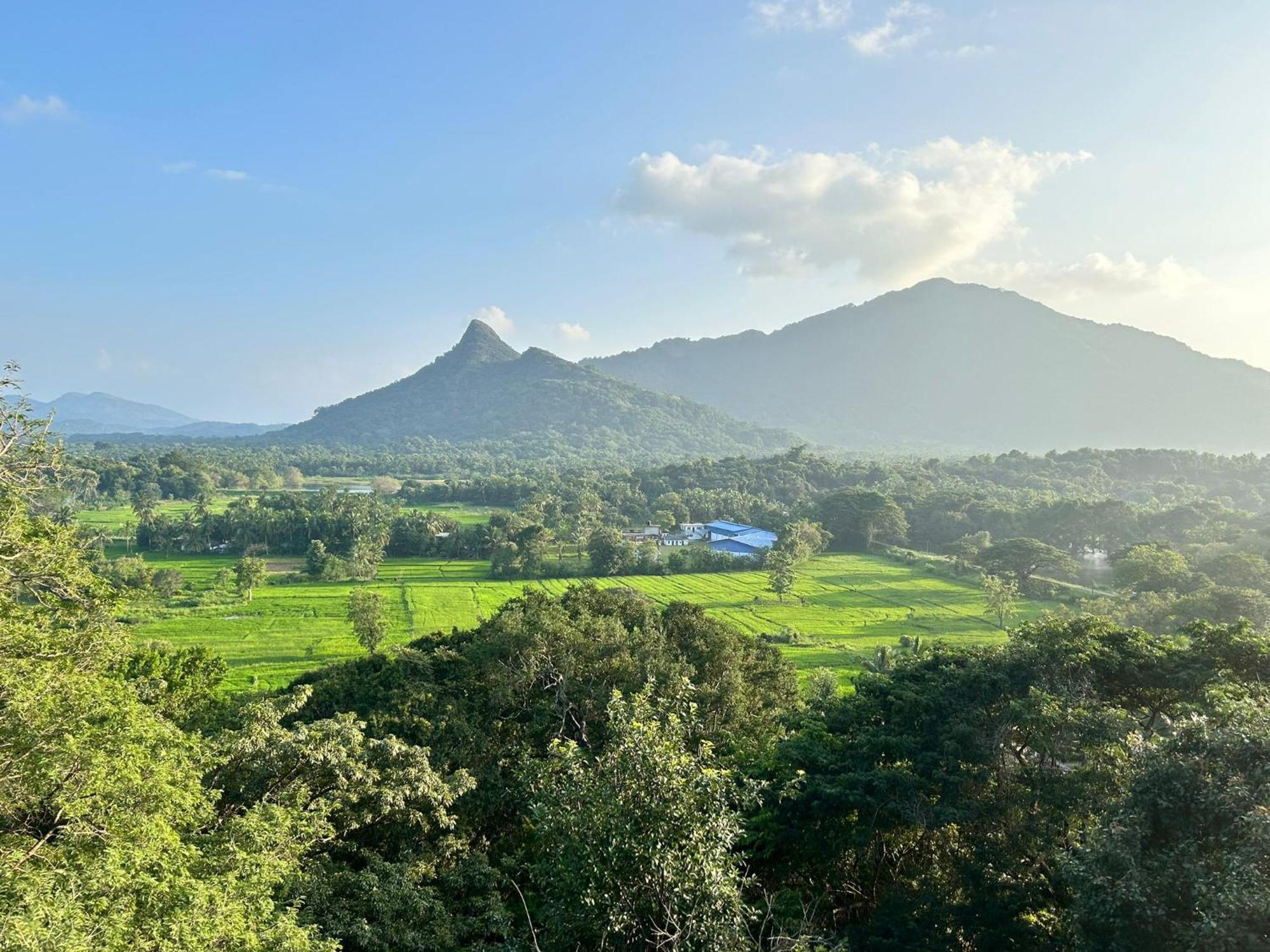 Ridge Boundary View Dambulla Exterior foto