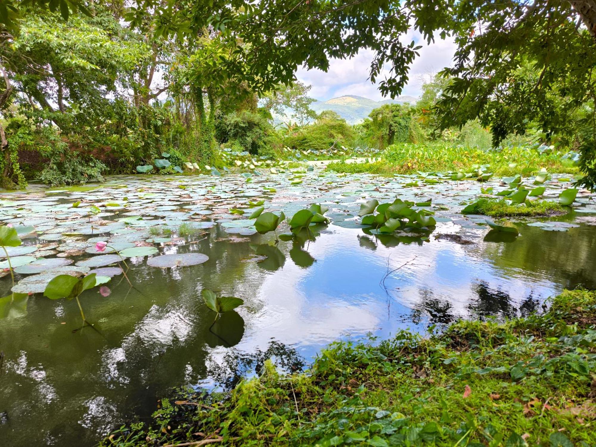 Ridge Boundary View Dambulla Exterior foto