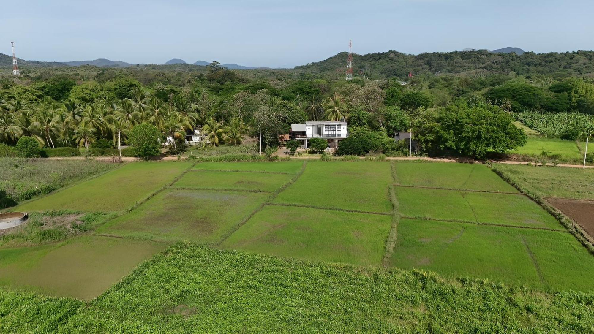 Ridge Boundary View Dambulla Exterior foto